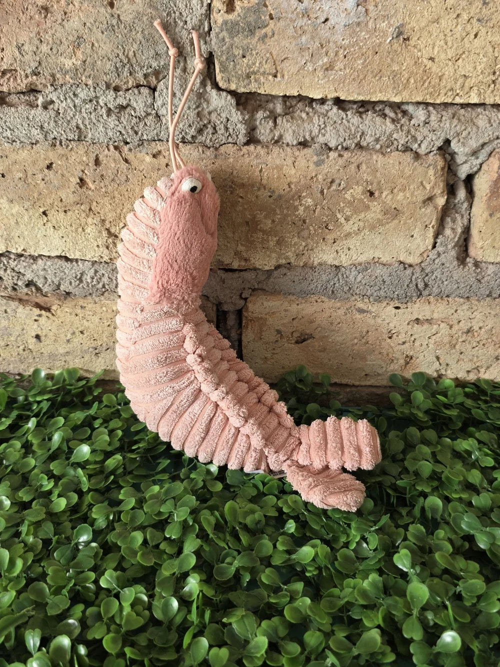 Jellycat ​adorable hard